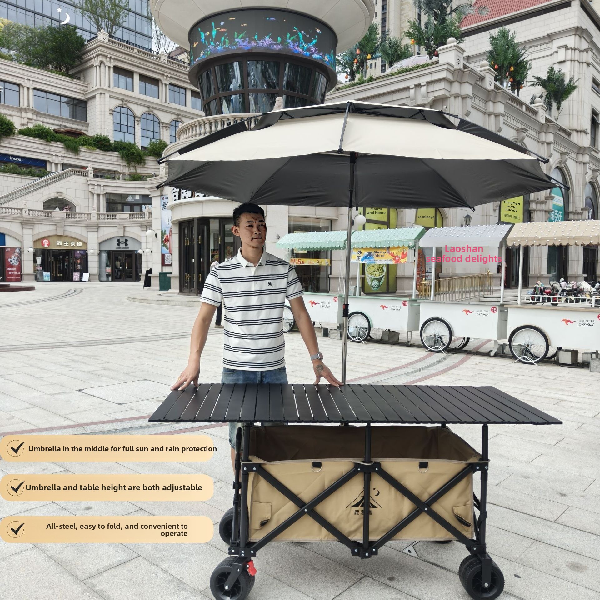 Car folding camping Lifting ta – Pull Cart Fold Bewertung und Preis