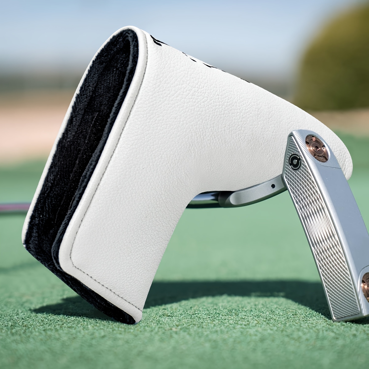 Dinosaur & Crossbones Golf Put – Golf Equipment Suppliers Bewertung und Preis